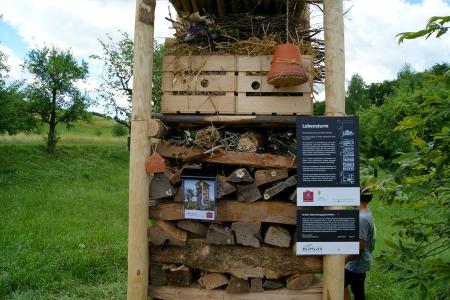 Büron Lebensturm Archehof