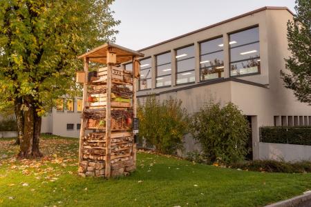 Lebensturm Neudorf Schule Archehof Neuhof