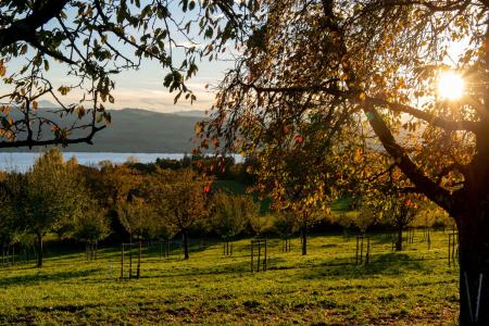 Wiesenwagen Aussicht Archehof Neuhof