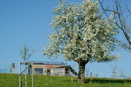 Wiesenwagen Frühling Archehof Neuhof