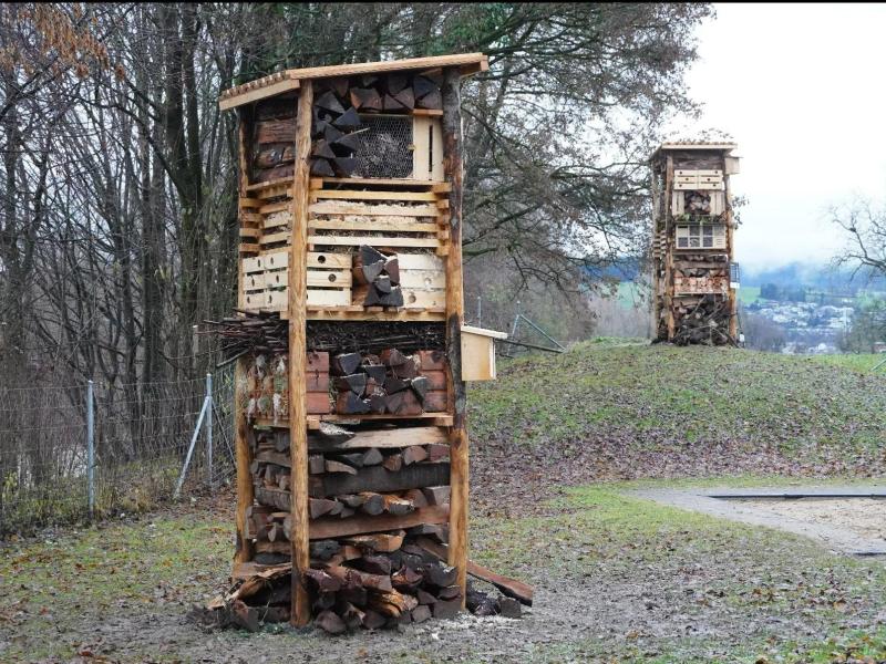 Lebensturm Zug Herti2 Dezember 2023