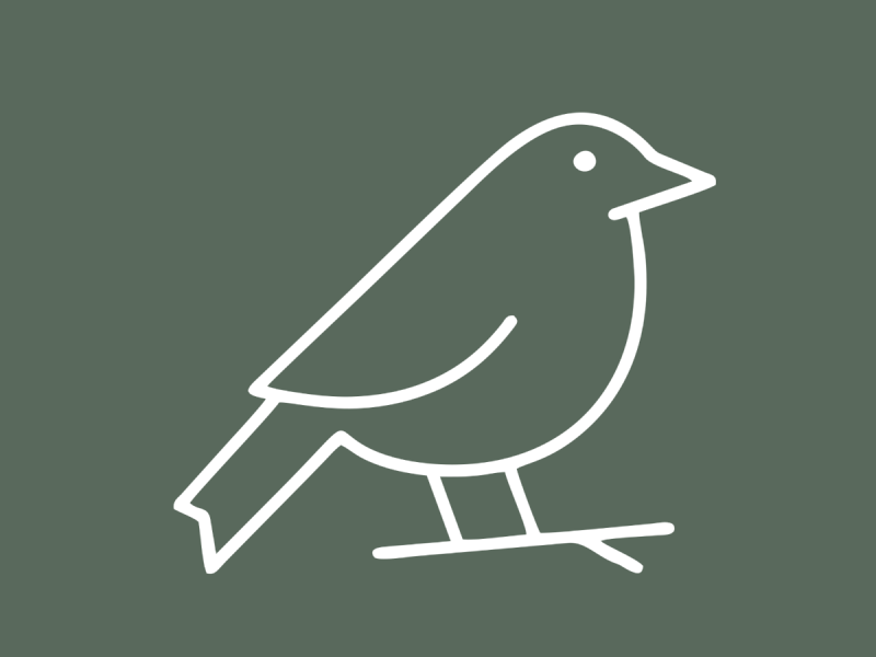 Vogel Vielfalt erleben.png