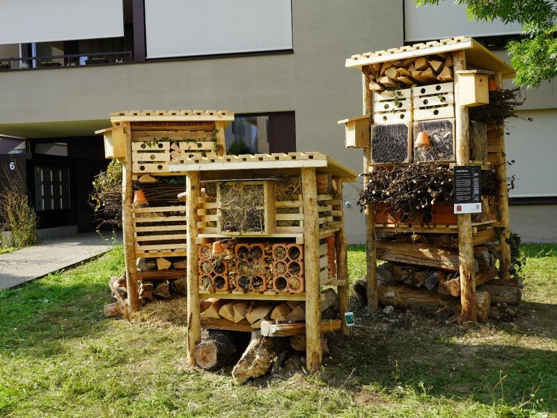 Lebensturm Seebach September 2023